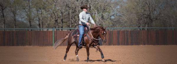 Clinton-Anderson_Motivating-a-Slow-Moving-Horse