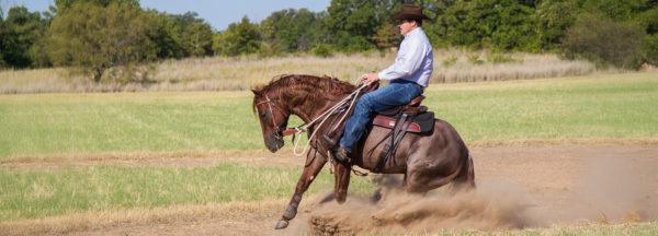 Safely-Ride-Your-Horse-in-a-Group