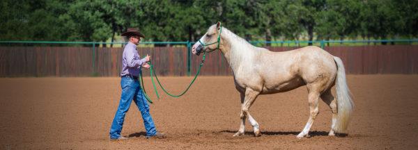 The-Sacred-Hula-Hoop
