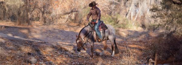 How-to-Get-Your-Horse-to-Step-Through-Mud