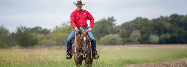 Stopping-a-Grass-Snatcher