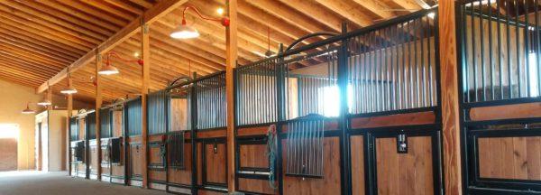 Classic-Equine-Spring-Cleaning-Header