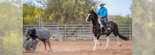 confronting-spooky-objects-that-move